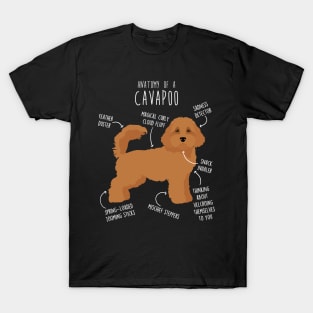 Cavapoo Dog Anatomy T-Shirt